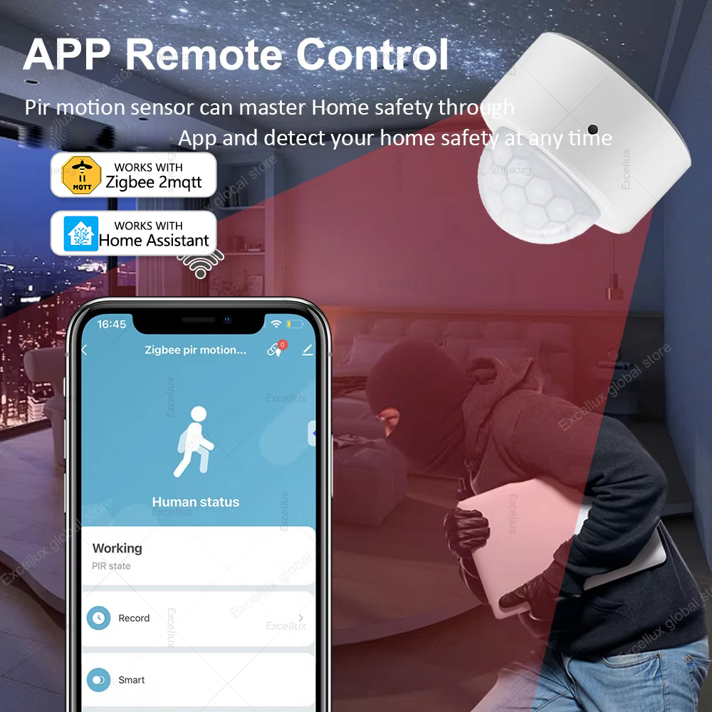 ZigBee PIR Motion Sensor Mini  – Home Security Home Assistant Bewertung und Preis