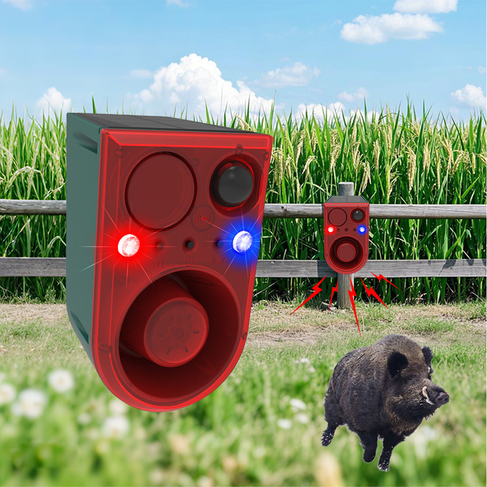 Solar Outdoor Motion Sensor Al – Home Yard Security Bewertung und Preis
