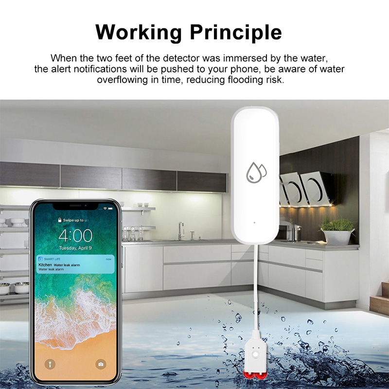 Tuya WiFi Water Leakage Alarm  – Home Security With Monitoring Bewertung und Preis
