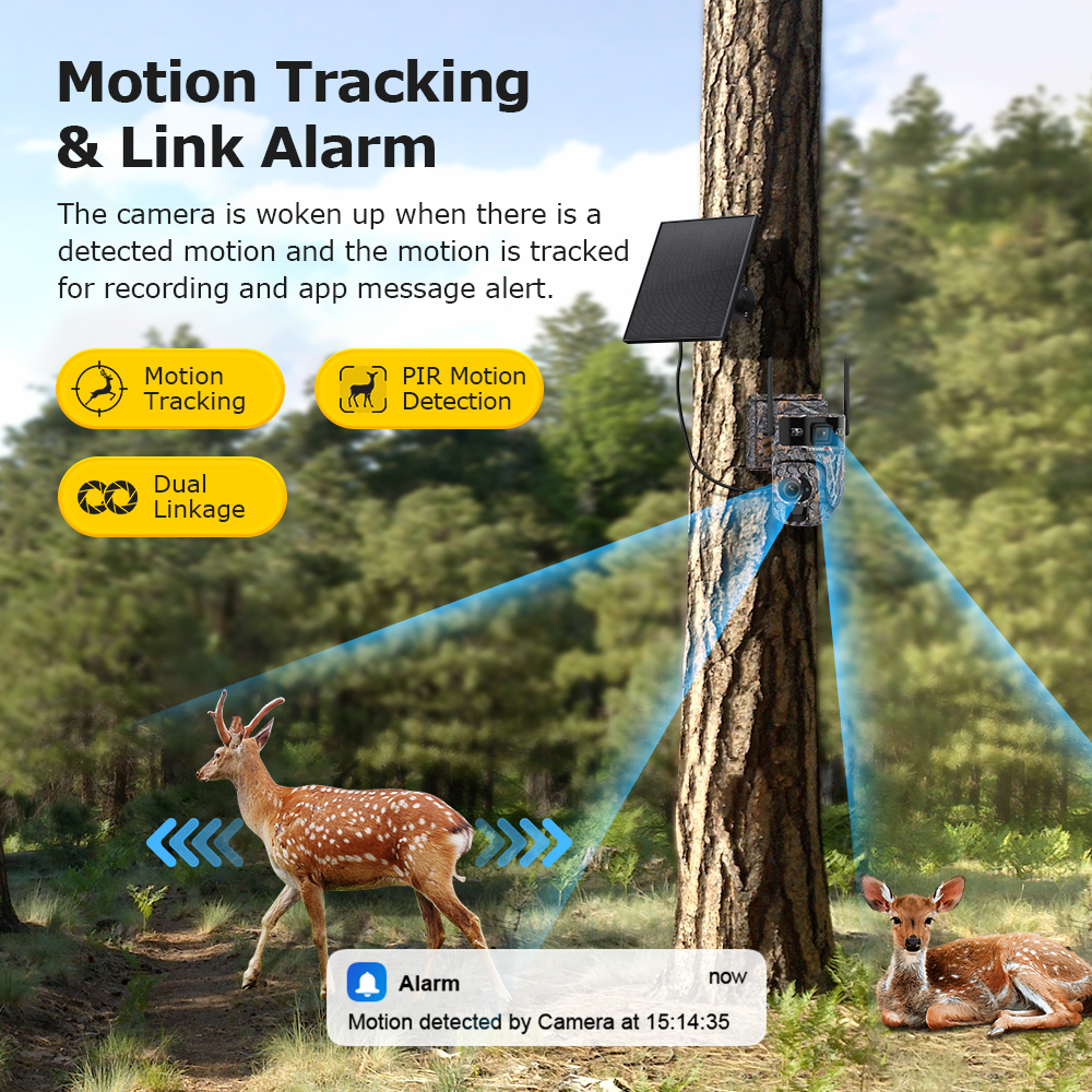 LS VISION 60X Zoom Trail Camer – Camera Solar Wireless Bewertung und Preis