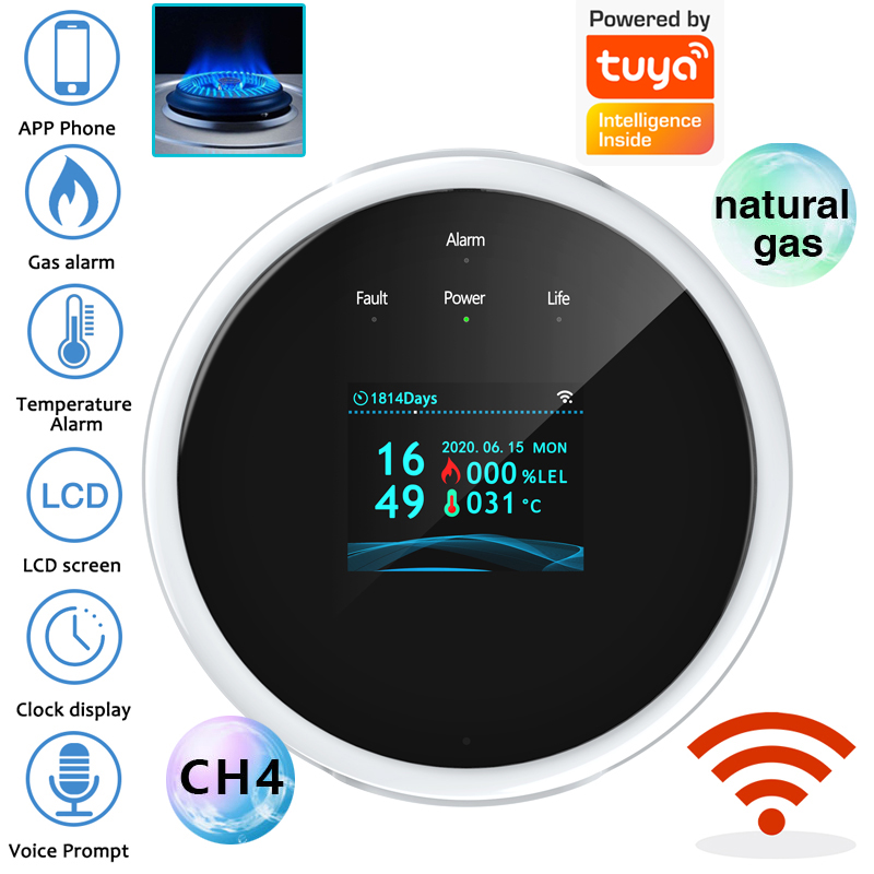 2.4G WiFi Gas Alarm Sensor Com – Home Security With Monitoring Bewertung und Preis