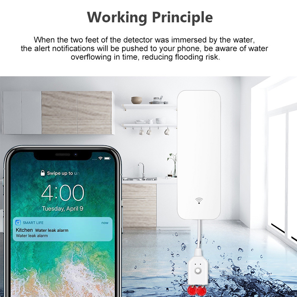 Tuya WiFi Smart Water Sensor L – Home Security Home Assistant Bewertung und Preis